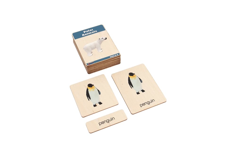 Polar Animals – Nomenclature Cards (3–6)