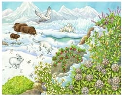 Biome Charts - Polar Biome