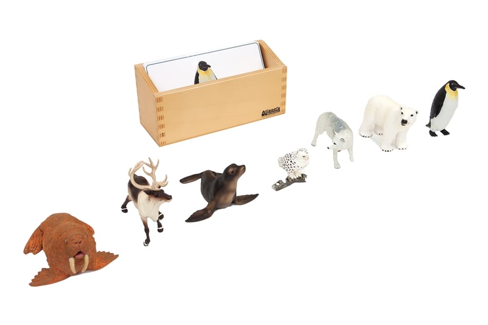 Polar Region Animals to Cards Matching