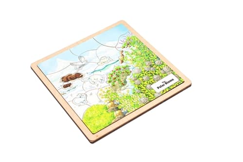 Polar Biome Puzzle