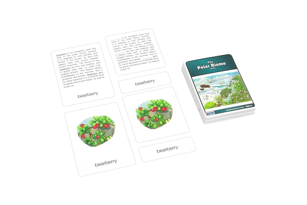 Polar Biome Nomenclature Cards (6-9)