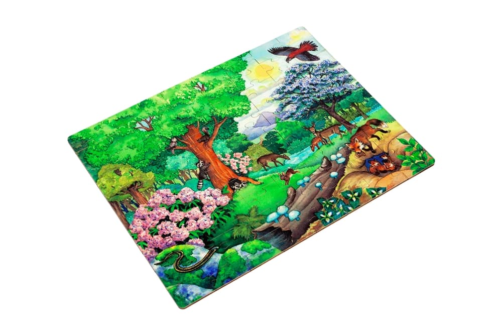 Temperate Deciduous Forest Biome - Jigsaw Puzzle