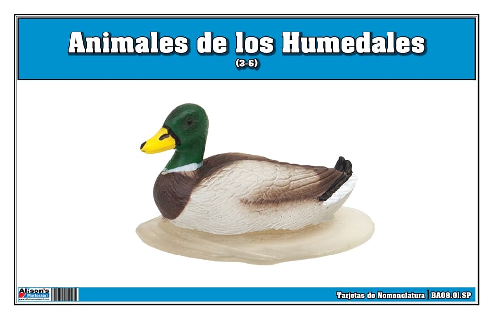 Tarjetas Nomenclatura Animales de Humedales