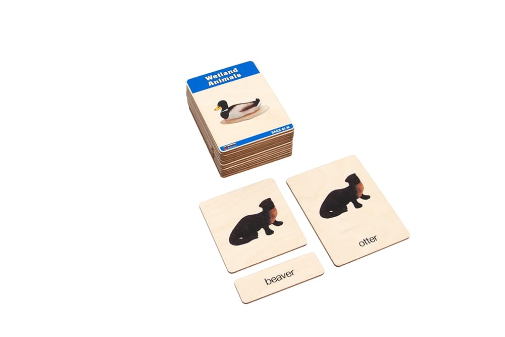 Wetlands Animals – Nomenclature Cards (3–6)