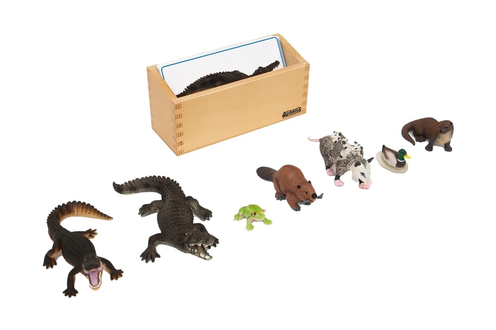 Wetlands Animals to Cards Matching