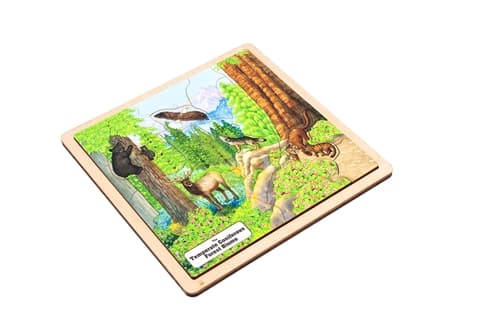 Temperate Coniferous Forest Biome Puzzle
