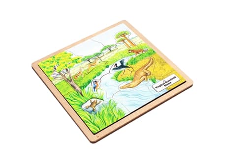 Tropical Grassland Biome - Complete Set
