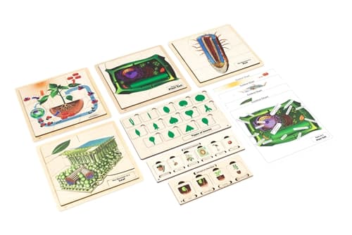 Spring Nature Study - Set