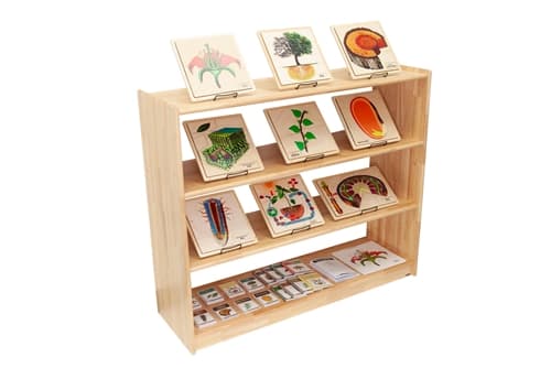 Larg Rectangular Rubberwood Shelf w/o Back