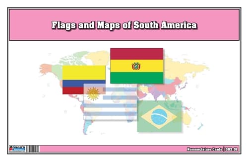 South America Flags & Maps 3-Part Cards