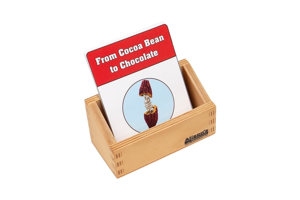 From Cocoa Bean to Chocolate Research Cards