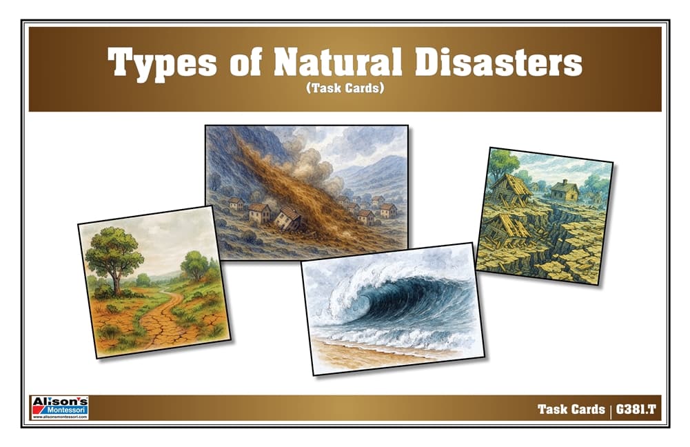 Types of Natural Disasters Task Cards