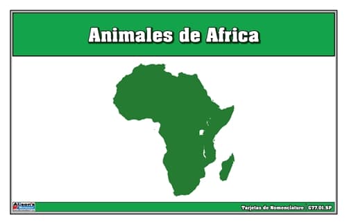 Tarjetas de Nomenclatura de Animales de África