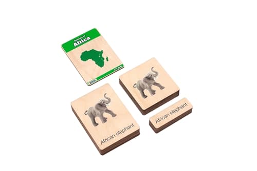 African Animal Nomenclature Cards (3–6)