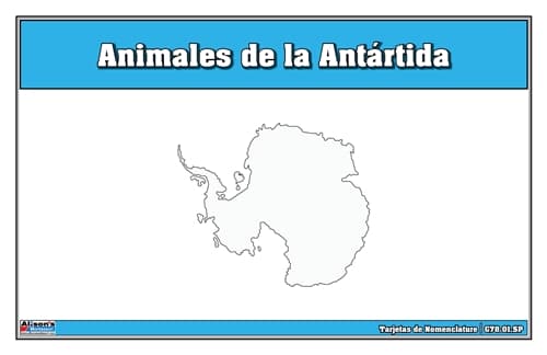 Nomenclatura: Animales de la Antártida