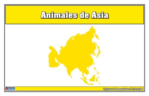 Tarjetas de Nomenclatura de Animales de Asia