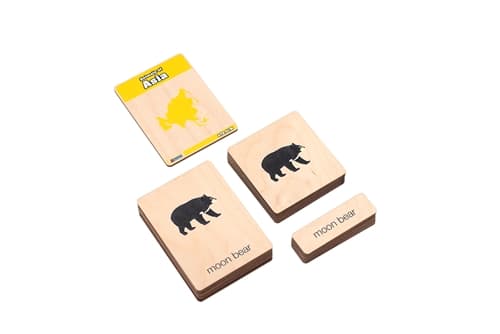Montessori Cards – Asia Animals (3–6)