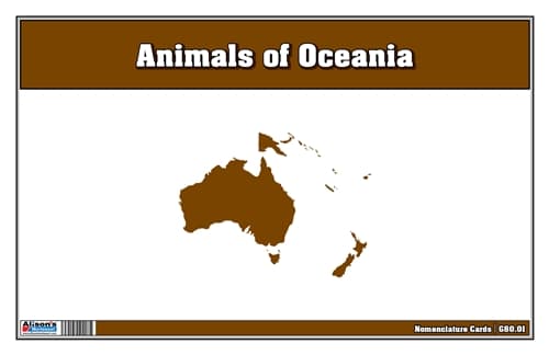 Animals of Australia Nomenclature Cards