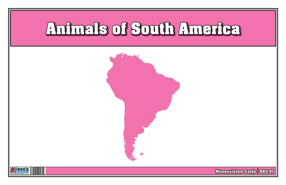 Animals of South America Nomenclature Cards