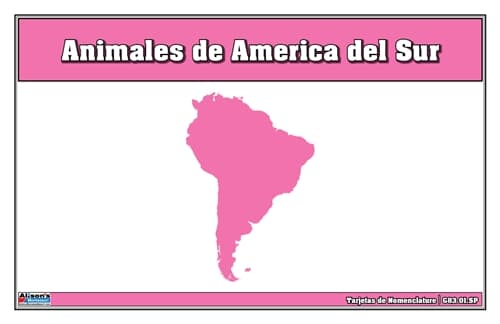 Nomenclatura: Animales de América del Sur