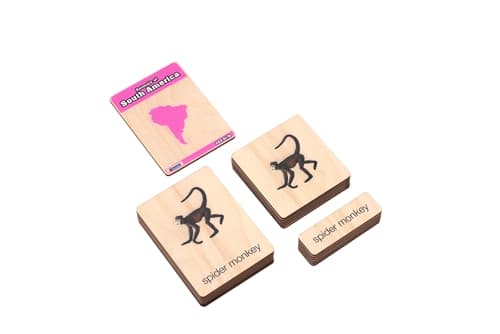 South America Animal Nomenclature (3–6)
