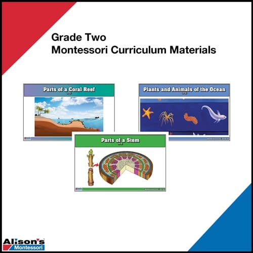 Grade Two - Montessori Curriculum Materials
