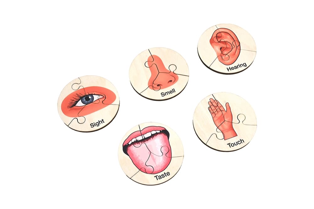 Five Senses Jigsaw Puzzle