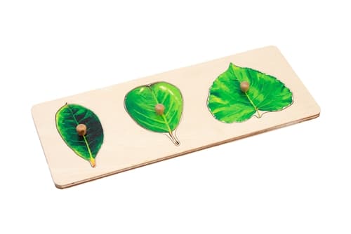 Three Leaves Puzzle