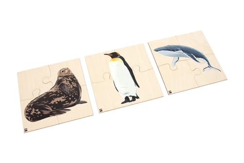 Animals of Antarctica: Jigsaw Puzzles