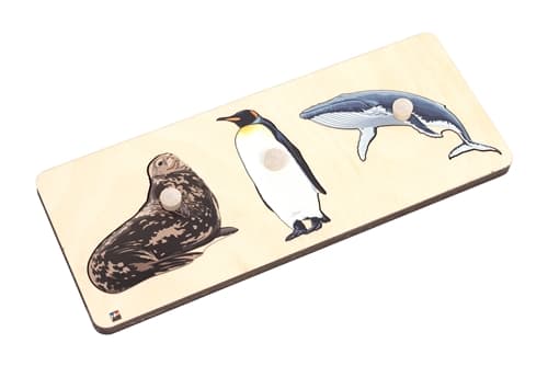 Animals of Antarctica Puzzle