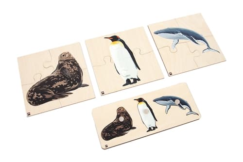 Animals of Antarctica: Puzzles Set