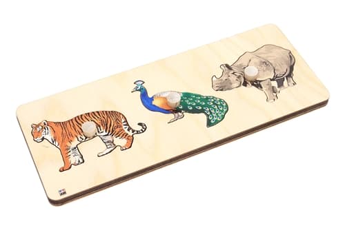Animals of Asia Puzzle