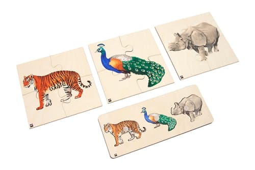 Animals of Asia: Puzzles Set