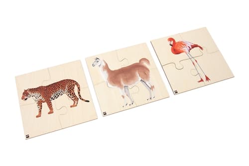 Animals of South America: Jigsaw Puzzles