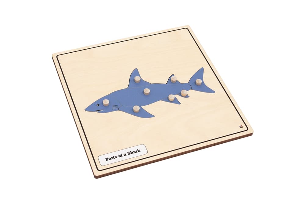Parts of a Shark Knobbed Puzzle