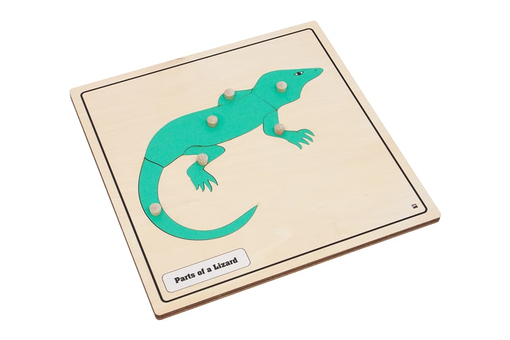 Parts of a Lizard Knobbed Puzzle