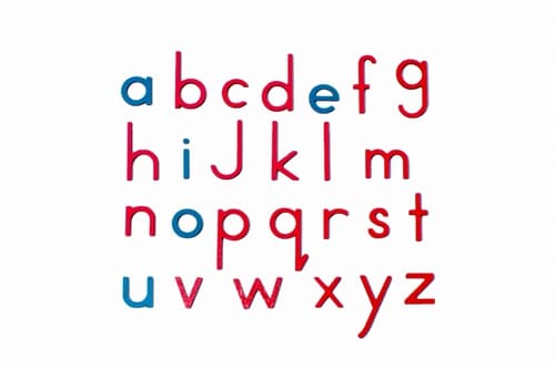 Movable Alphabet: Red with Blue Vowels Only