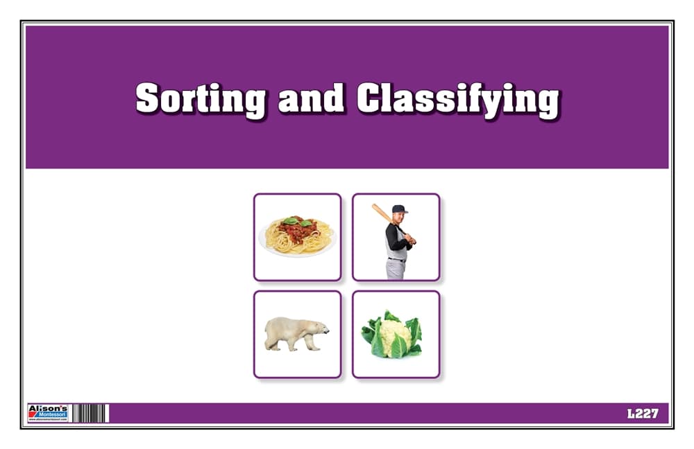 Sorting and Classifying PLC