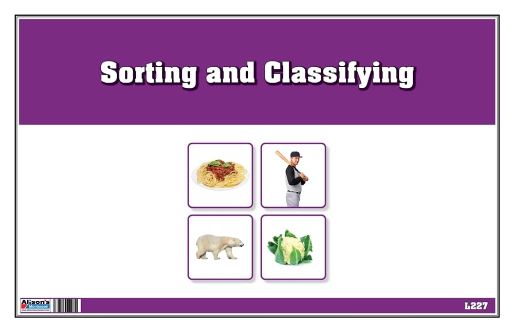 Sorting and Classifying