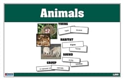 Animals: Young, Habitat, Sounds and Group