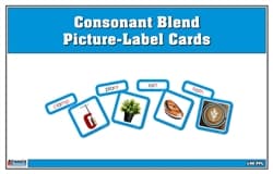 Blend Picture-Label Cards with Boxes