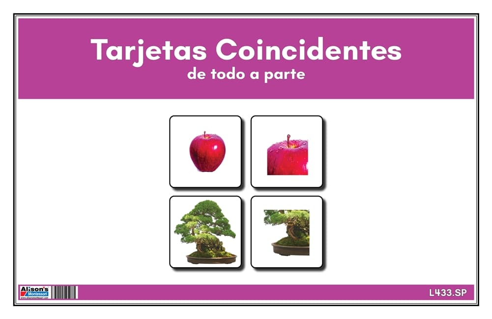 Tarjetas Coincidentes de todo a parte