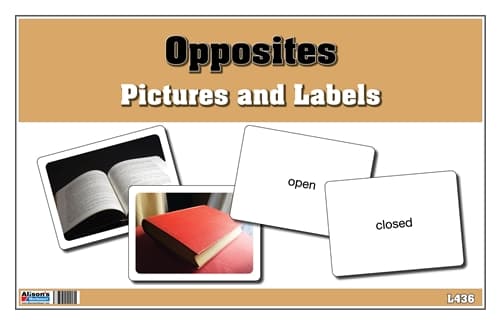 Opposites Pictures and Labels
