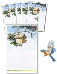 Positional Concepts with Bird & Birdhouse