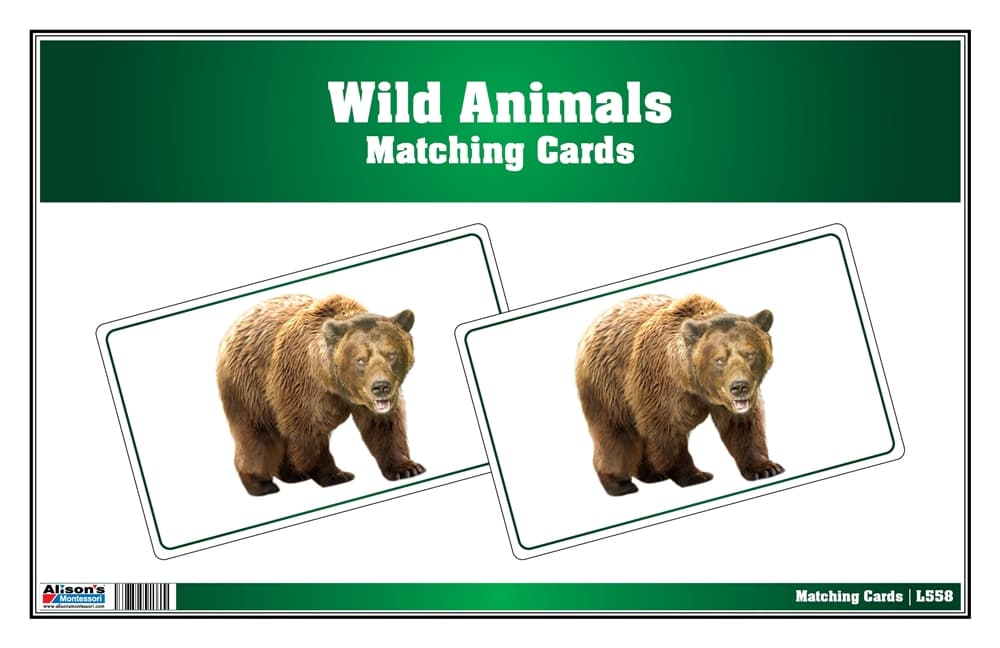 Picture Matching Cards - Wild Animals