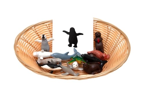 Object to Silhouette Matching: Sea-life
