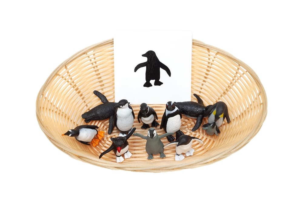Object to Silhouette Matching: Penguins