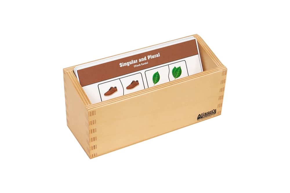 Singular and Plural - Flash Cards
