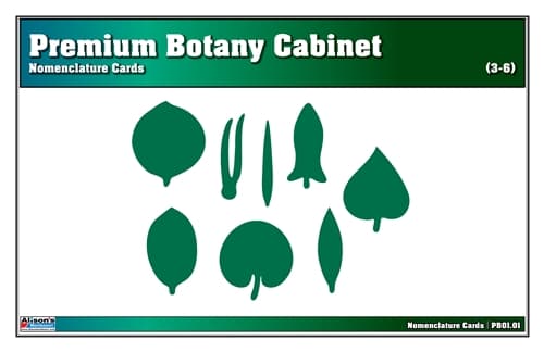 Nomenclature Cards – Botany Cabinet (3–6)
