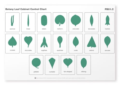 Leaf Cabinet Control Chart – Laminated (PQ)